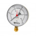 купить Манометр радиальный 63 мм 1/4", 0-25 бар Watts F+R200 - производитель Watts